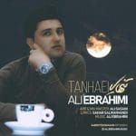 دانلود آهنگ جدید تنهایی با صدای علی ابراهیمی