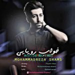دانلود آهنگ جدید محمدرضا شمس به نام خواب رویایی
