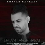 دانلود آهنگ جدید دلم تنگه برات از شهاب رمضان